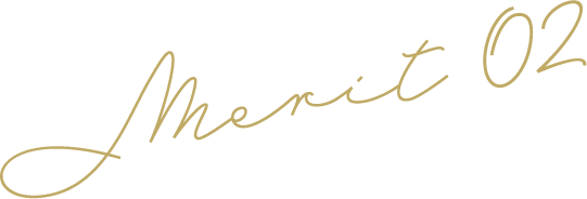 merit 02