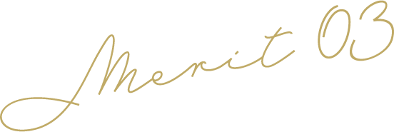 merit 03